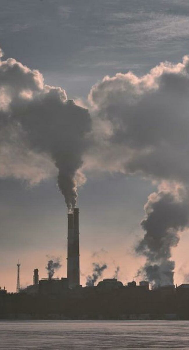 International GreenTech Association - CO2 absorbtion